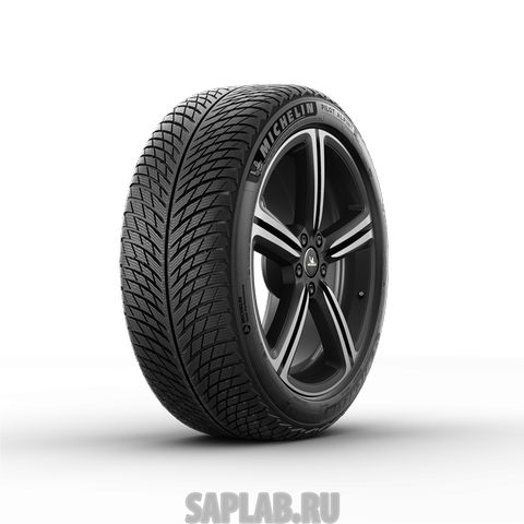 Купить MICHELIN 495886 Шины MICHELIN Pilot Alpin 5 225/55R19 99 V