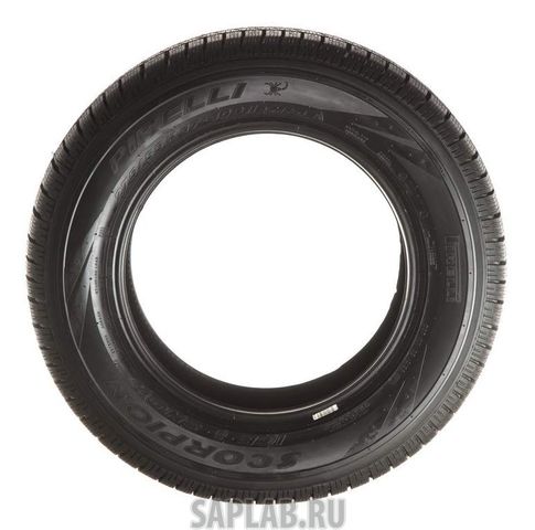 Купить запчасть PIRELLI - 1656100 